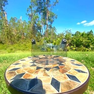 Smoke oakley visor
